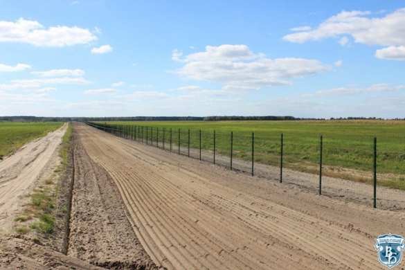 Кажется, они что-то знают: на границе с Украиной белорусские пограничники строят стену