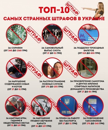 "Мыздобулы" в картинках. Смешных и не очень... 18-09-2016