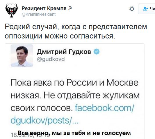 "Мыздобулы" в картинках. Смешных и не очень... 18-09-2016