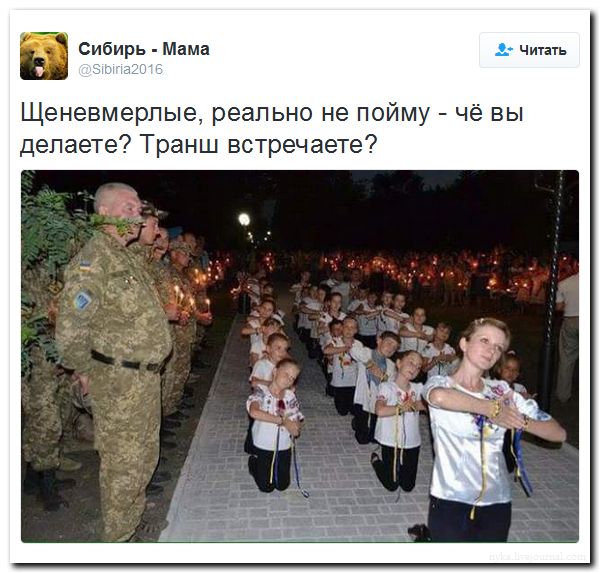 "Мыздобулы" в картинках. Смешных и не очень... 19-09-2016