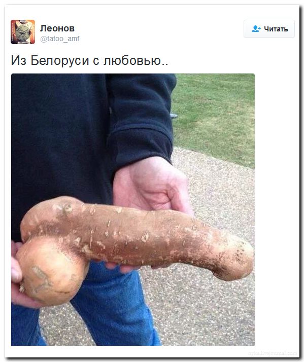 "Мыздобулы" в картинках. Смешных и не очень... 19-09-2016
