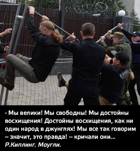 "Мыздобулы" в картинках. Смешных и не очень... 20-09-2016