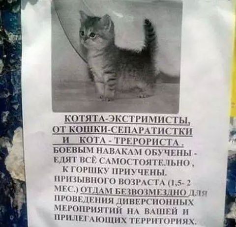 "Мыздобулы" в картинках. Смешных и не очень... 20-09-2016