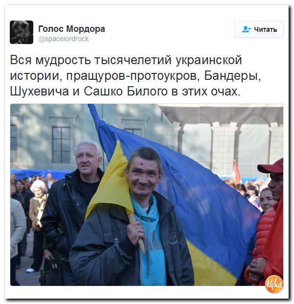 "Мыздобулы" в картинках. Смешных и не очень... 22-09-2016