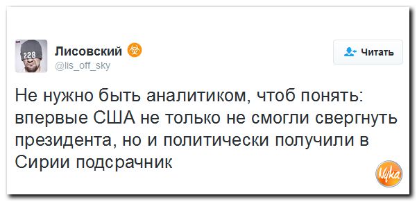 "Мыздобулы" в картинках. Смешных и не очень... 22-09-2016