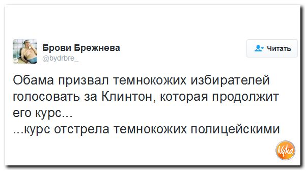 "Мыздобулы" в картинках. Смешных и не очень... 22-09-2016