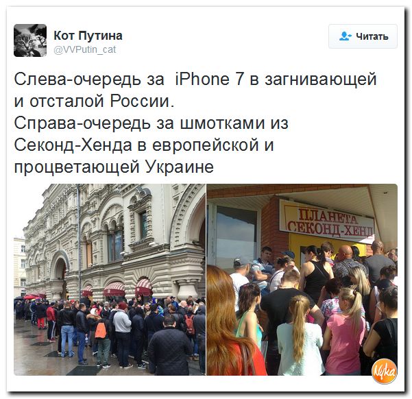 "Мыздобулы" в картинках. Смешных и не очень... 23-09-2016