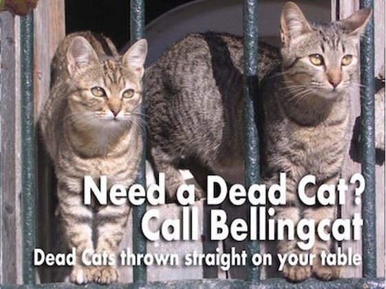 На что указывают «эксперды» из bellingcat