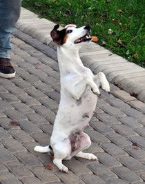 Галопом по Одессе и ее окрестностям: До пошедшего в услужение хунте Трухана дотянулись длинные руки "патриотов". Или "предателей никто не лю..... Галопом по Одессе и ее окрестностям: До пошедшего в услужение хунте Трухана дотянулись длинные руки "патриотов". Или "предателей никто не лю.....