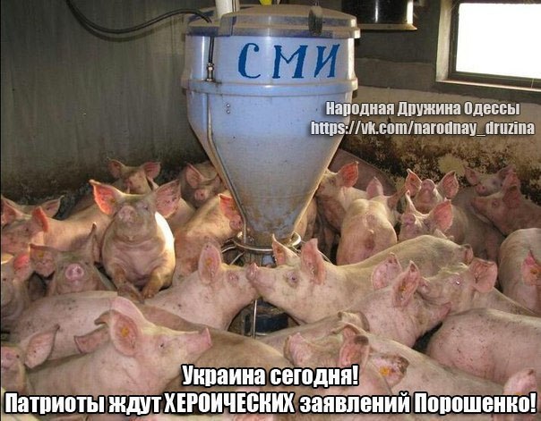 "Мыздобулы" в картинках. Смешных и не очень... 25-09-2016