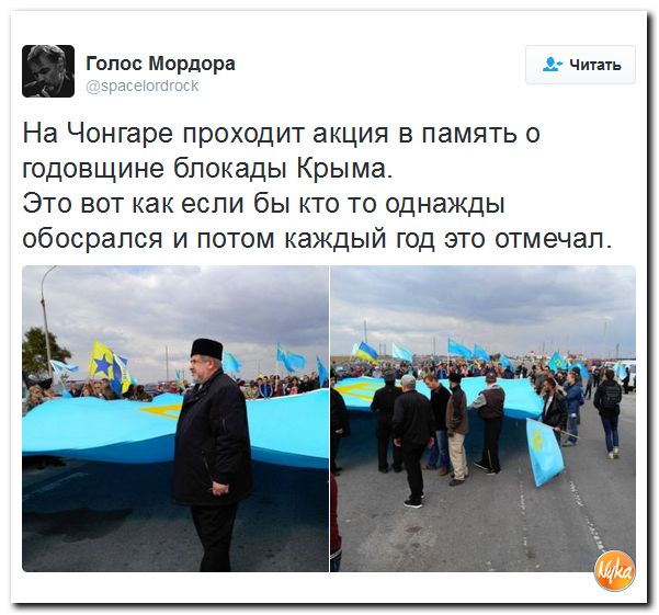 "Мыздобулы" в картинках. Смешных и не очень... 25-09-2016