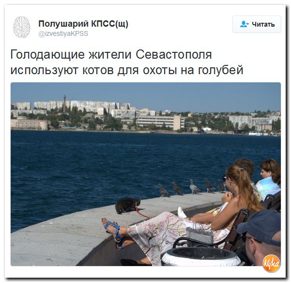 "Мыздобулы" в картинках. Смешных и не очень... 25-09-2016