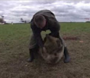 «Друг и член команды»: пилот-любитель рассказал о медвежонке, который живет на аэродроме