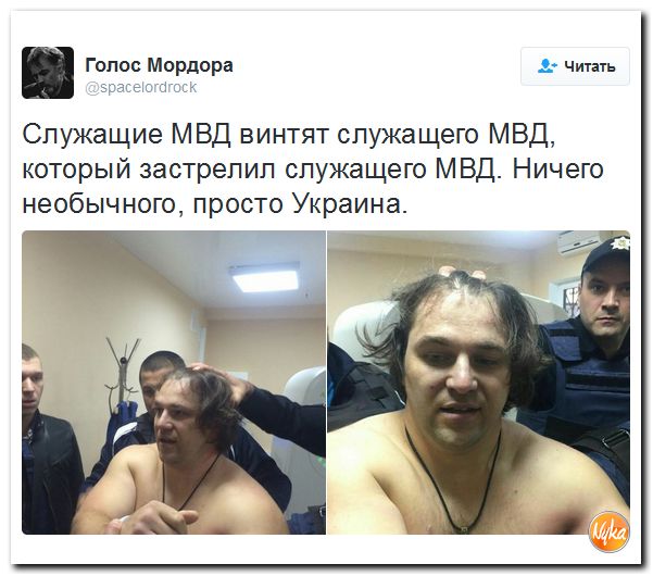 "Мыздобулы" в картинках. Смешных и не очень... 26-09-2016