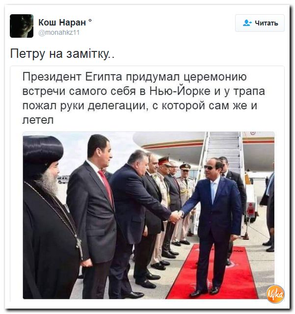 "Мыздобулы" в картинках. Смешных и не очень... 26-09-2016