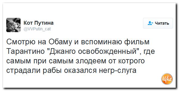 "Мыздобулы" в картинках. Смешных и не очень... 26-09-2016