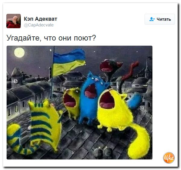 "Мыздобулы" в картинках. Смешных и не очень... 26-09-2016