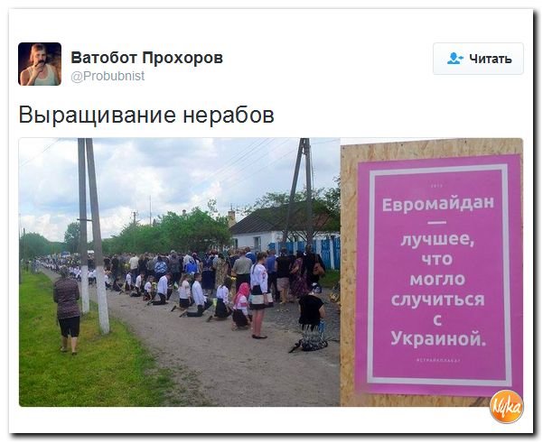 "Мыздобулы" в картинках. Смешных и не очень... 26-09-2016