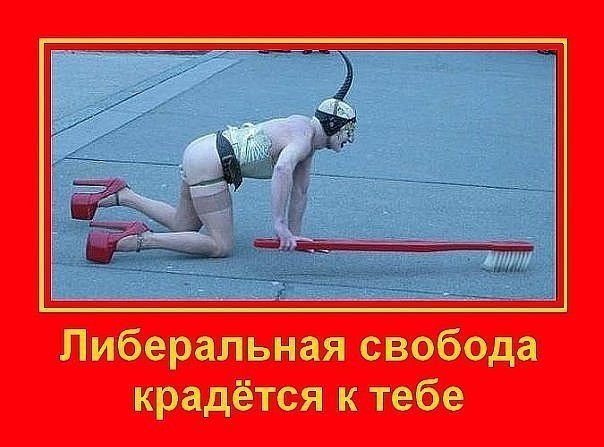 "Мыздобулы" в картинках. Смешных и не очень... 27-09-2016