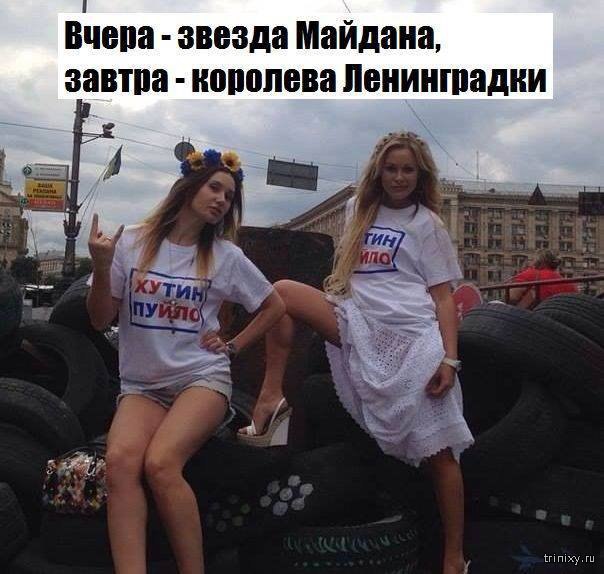 "Мыздобулы" в картинках. Смешных и не очень... 27-09-2016