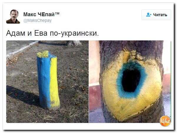 "Мыздобулы" в картинках. Смешных и не очень... 27-09-2016