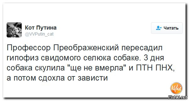 "Мыздобулы" в картинках. Смешных и не очень... 29-09-2016