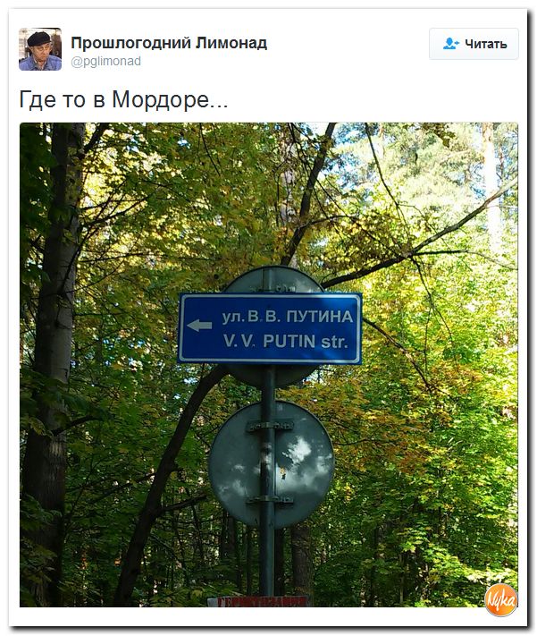 "Мыздобулы" в картинках. Смешных и не очень... 30-09-2016