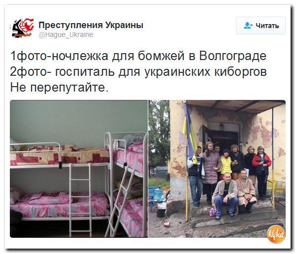 "Мыздобулы" в картинках. Смешных и не очень... 30-09-2016