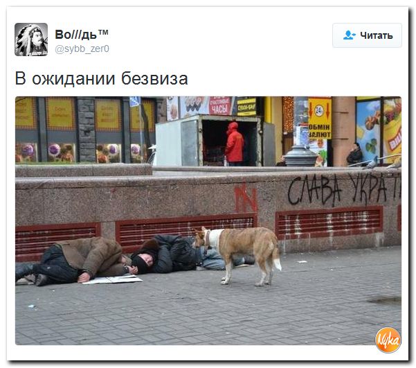 "Мыздобулы" в картинках. Смешных и не очень... 30-09-2016