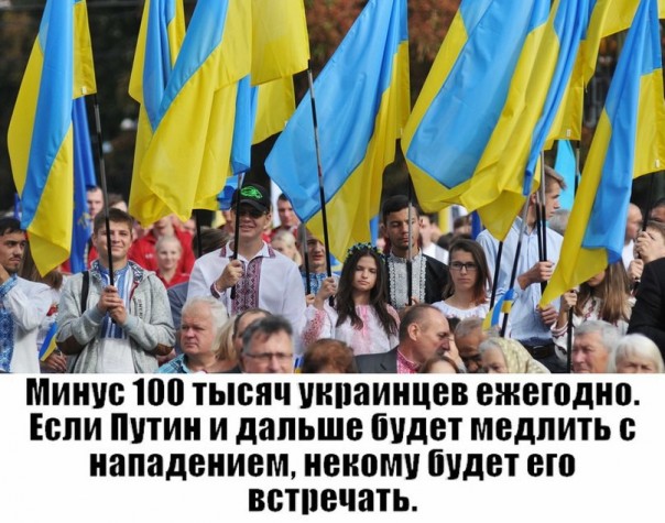 "Мыздобулы" в картинках. Смешных и не очень... 2-09-2016