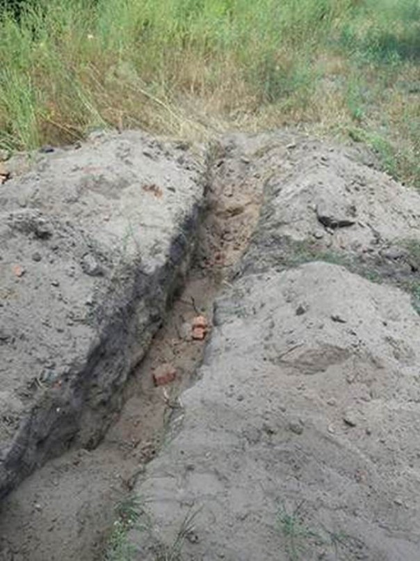 Дурнувати та воровати Дурнувати та воровати