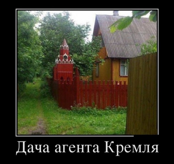 "Мыздобулы" в картинках. Смешных и не очень... 4-09-2016