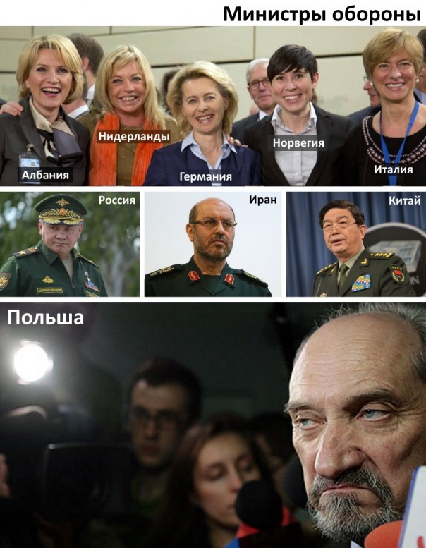 "Мыздобулы" в картинках. Смешных и не очень... 5-09-2016