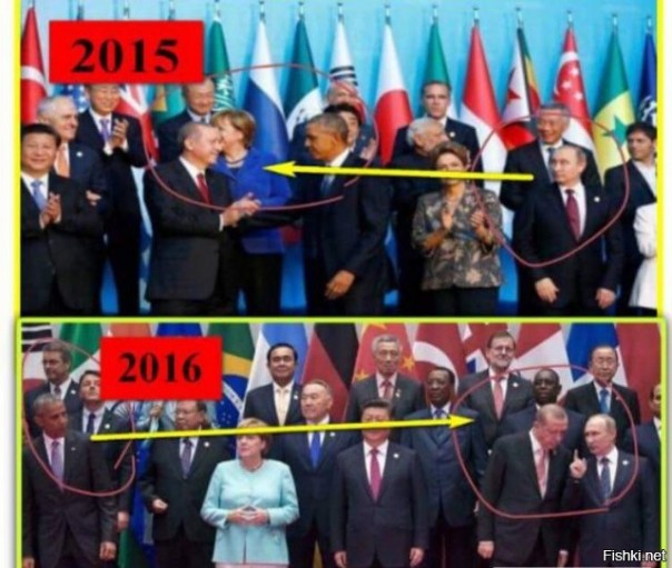 "Мыздобулы" в картинках. Смешных и не очень... 5-09-2016