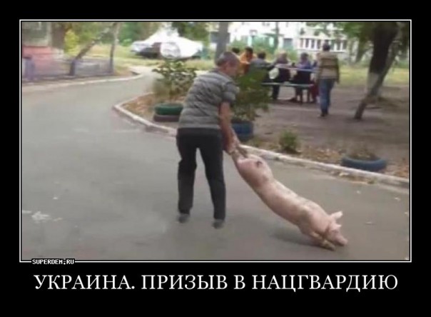 "Мыздобулы" в картинках. Смешных и не очень... 5-09-2016