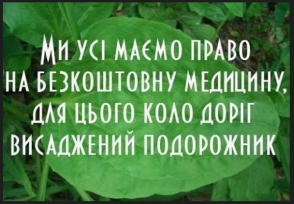 "Мыздобулы" в картинках. Смешных и не очень... 07-09-2016