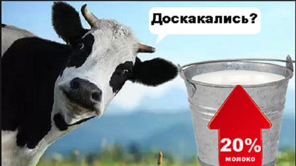 Украинцы останутся без молока, осенью цена вырастет на 20%