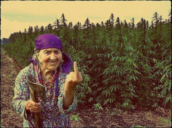 Абсурдные новости. 8 сентября 2016 года