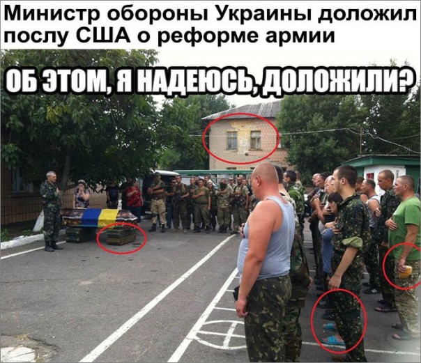 "Мыздобулы" в картинках. Смешных и не очень... 09-09-2016 