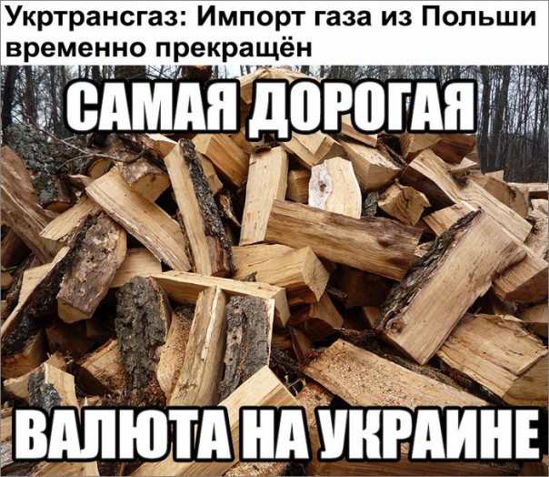 "Мыздобулы" в картинках. Смешных и не очень... 09-09-2016 