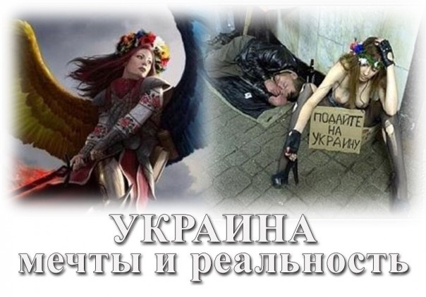 "Мыздобулы" в картинках. Смешных и не очень... 09-09-2016 