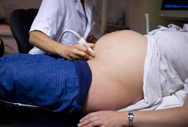 На клеточном уровне На клеточном уровне