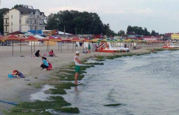 Итог перекрытия воды Крыму: Пляжи под Херсоном “цветут”, отдыхающие жалуются на страшную вонь Итог перекрытия воды Крыму: Пляжи под Херсоном “цветут”, отдыхающие жалуются на страшную вонь