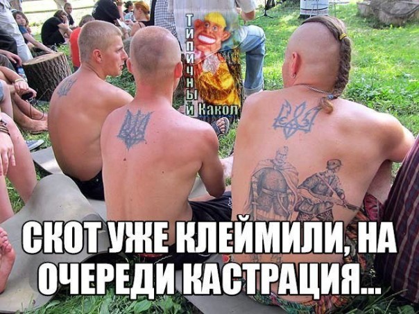 "Мыздобулы" в картинках. Смешных и не очень... 11-09-2016 "Мыздобулы" в картинках. Смешных и не очень... 11-09-2016