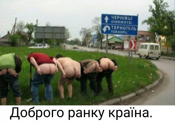 "Мыздобулы" в картинках. Смешных и не очень... 11-09-2016 "Мыздобулы" в картинках. Смешных и не очень... 11-09-2016