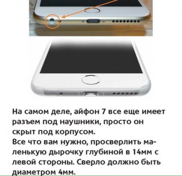 "Мыздобулы" в картинках. Смешных и не очень... 12-09-2016 "Мыздобулы" в картинках. Смешных и не очень... 12-09-2016