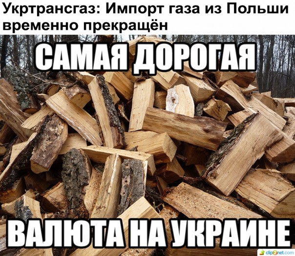"Мыздобулы" в картинках. Смешных и не очень... 13-09-2016