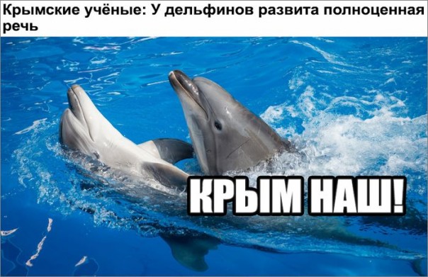 "Мыздобулы" в картинках. Смешных и не очень... 14-09-2016