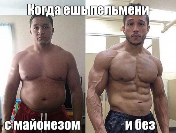 Весёлые картинки