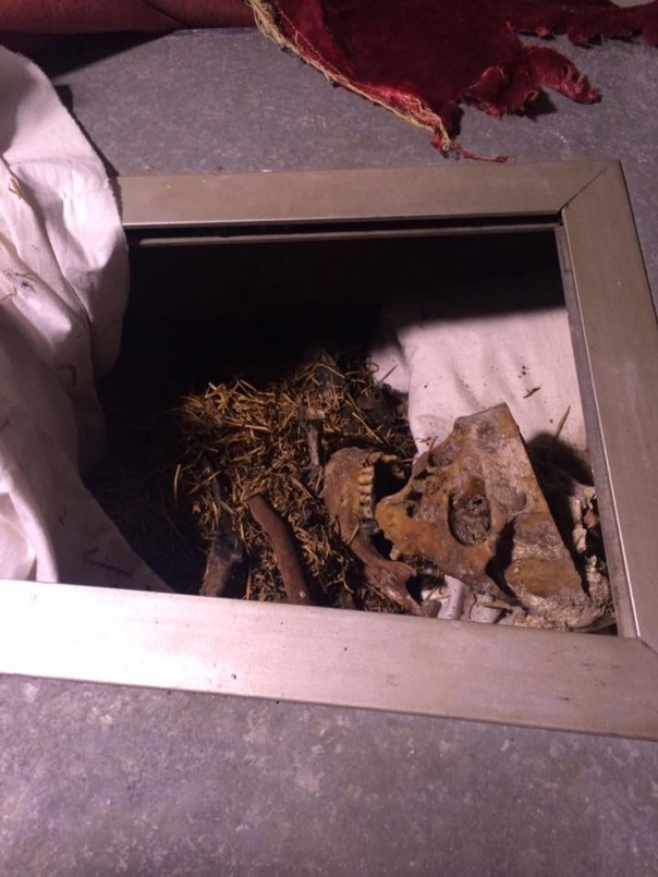 Мавзолей Котовского разграблен в Подольске Мавзолей Котовского разграблен в Подольске